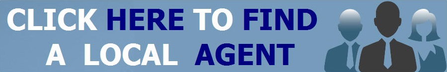 Find a financial agent to assist you with financial services, such as wealth management, wealth insurance, term policy, long term care insurance, estate planning, retirement, 401K and more